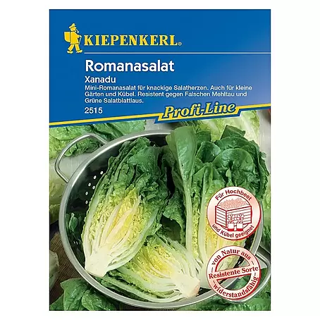 Kiepenkerl Profi-Line Salatsamen Romanasalat