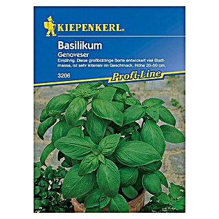 Kiepenkerl Profi-Line Kräutersamen Basilikum (Ocimum basilicum, Erntezeit: Juli)