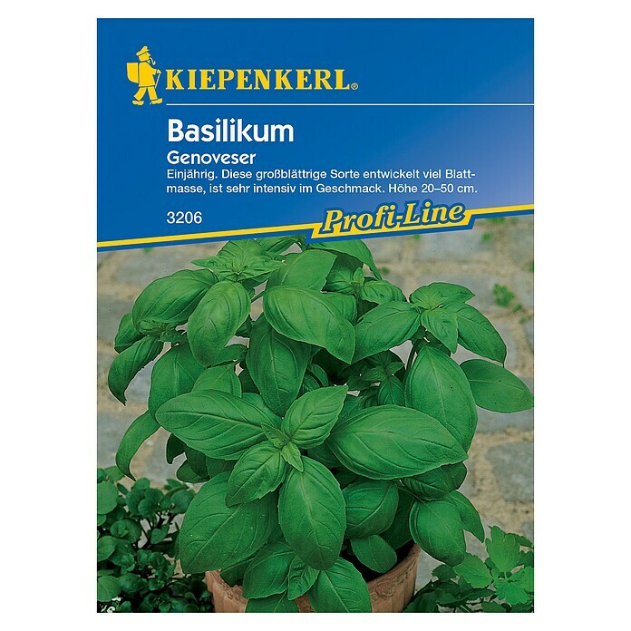 Kiepenkerl Profi-Line Kräutersamen BasilikumOcimum basilicum, Erntezeit: Juli - Oktober Front View