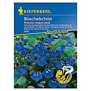 Kiepenkerl Profi-Line Blumensamen Büschelschön (Phacelia campanularia)