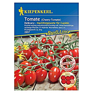 Kiepenkerl Profi-Line Gemüsesamen Cherry-Tomate Delicacy (Solanum lycopersicum, Erntezeit: Juli)