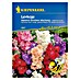 Kiepenkerl Profi-Line Blumensamen BIO Ringelblume 