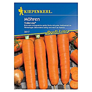 Kiepenkerl Profi-Line Gemüsesamen Möhre (Vollenda, Daucus carota ssp. sativus, Erntezeit: August)