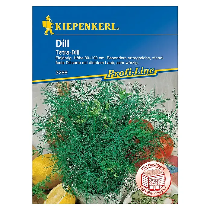 Kiepenkerl Profi-Line Kräutersamen DillAnethum graveolens var. hortorum, Saatzeit: Mai, Erntezeit: Juni - Bild einer Kiepenkerl Tetra-Dill-Samenpackung.