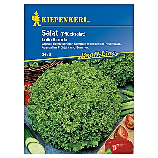 Kiepenkerl Profi-Line Salatsamen Pflücksalat Bionda (Lactuca sativa var. crispa, Erntezeit: Mai - Oktober)