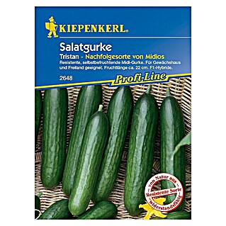 Kiepenkerl Profi-Line Gemüsesamen Salatgurke (Tristan F1, Cucumis sativus, Erntezeit: Juli)