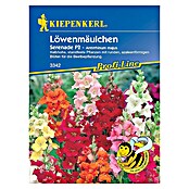 Kiepenkerl Profi-Line Blumensamen Löwenmäulchen (Serenade F1, Antirrhinum majus) | BAUHAUS