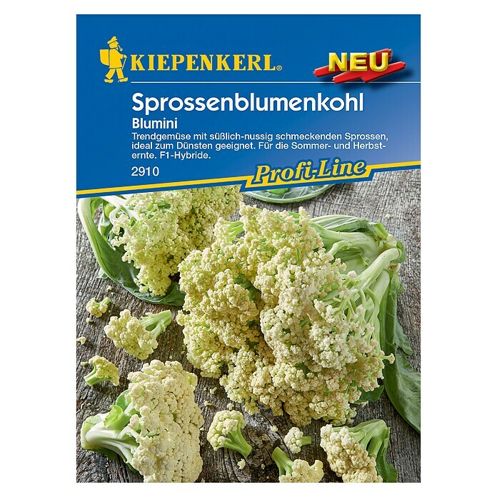Kiepenkerl Profi-Line Gemüsesamen Sprossenblumenkohl Blumini (Brassica oleracea var. botrytis, Erntezeit: August)