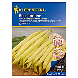 Kiepenkerl Gemüsesamen Buschbohne (Dior, Phaseolus vulgaris, Erntezeit: Juli)