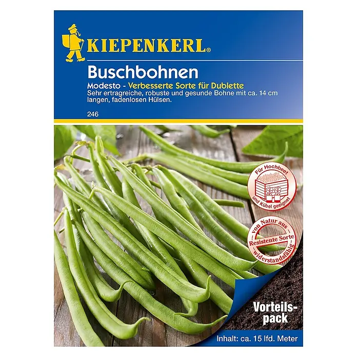 Kiepenkerl Gemüsesamen Buschbohne - Modesto - Vorteilspack, Phaseolus vulgaris, Erntezeit: Juli - Samenpackung Buschbohnen der Marke Kiepenkerl, Sorte Modesto, eine verbesserte und widerstandsfähige Sorte mit langen, fadenlosen Hülsen.