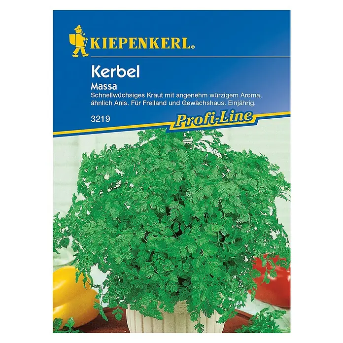Kiepenkerl Profi-Line Kräutersamen Kerbel - Anthriscus cerefolium var. cerefolium, Saatzeit: Februar, Erntezeit: April - Bild einer 'Kiepenkerl Kerbel Massa' Samenpackung. Das Bild zeigt eine üppige Kerbelpflanze im Topf, bereit für die Aussaat.