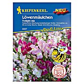 Kiepenkerl Profi-Line Blumensamen Löwenmäulchen (Twilight Mix, Antirrhinum majus) | BAUHAUS