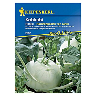 Kiepenkerl Profi-Line Gemüsesamen Kohlrabi Noriko (Brassica oleracea var. gongylodes, Erntezeit: Mai)