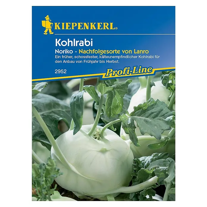 Kiepenkerl Profi-Line Gemüsesamen Kohlrabi Noriko 2952 - Brassica oleracea var. gongylodes, Erntezeit: Mai - Kohlrabi 'Noriko' Samenpackung von Kiepenkerl. Ideal für den Anbau von Frühjahr bis Herbst. Eine frühe und kälteunempfindliche Sorte.