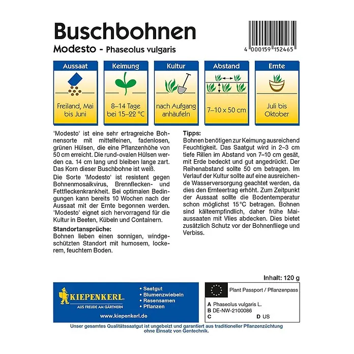 Kiepenkerl Gemüsesamen Buschbohne - Modesto - Vorteilspack, Phaseolus vulgaris, Erntezeit: Juli - Buschbohnen "Modesto" Saatgutpackung von Kiepenkerl. Ertragreiche Sorte für den Anbau im Garten oder Kübel.