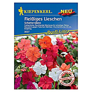 Kiepenkerl Profi-Line Blumensamen Fleißiges Lieschen (Impatiens walleriana)