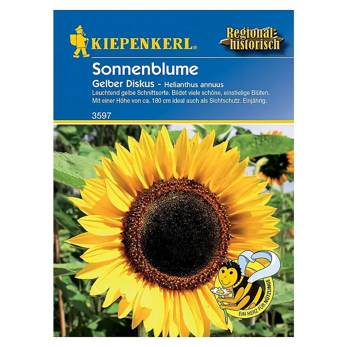 Kiepenkerl Blumensamen Sonnenblume - Gelber Diskus, Helianthus annuus - Samenpackung Sonnenblume 'Gelber Diskus' von Kiepenkerl: Leuchtend gelbe Blüten, ideal als Sichtschutz. Einjährig, Höhe ca. 180 cm.