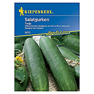 Kiepenkerl Profi-Line Gemüsesamen Salatgurke (Tanja, Cucumis sativus, Erntezeit: Juli)