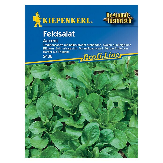 Kiepenkerl Profi-Line Salatsamen Feldsalat (Valerianella locusta, Erntezeit: September) | BAUHAUS