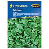 Kiepenkerl Profi-Line Salatsamen Feldsalat (Valerianella locusta, Erntezeit: September) | BAUHAUS