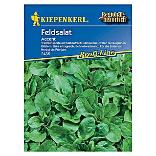 Kiepenkerl Profi-Line Salatsamen Feldsalat (Valerianella locusta, Erntezeit: September)