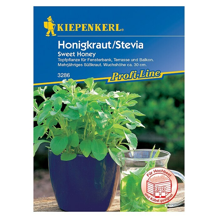 Kiepenkerl Profi-Line Kräutersamen Stevia (Stevia rebaudiana, Erntezeit: Ganzjährig) | BAUHAUS