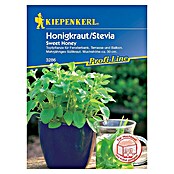 Kiepenkerl Profi-Line Kräutersamen Stevia (Stevia rebaudiana, Erntezeit: Ganzjährig) | BAUHAUS