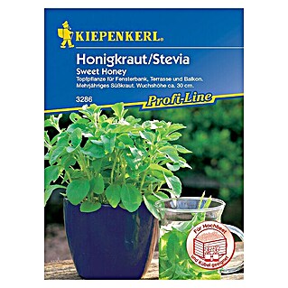 Kiepenkerl Profi-Line Kräutersamen Stevia (Stevia rebaudiana, Erntezeit: Ganzjährig)