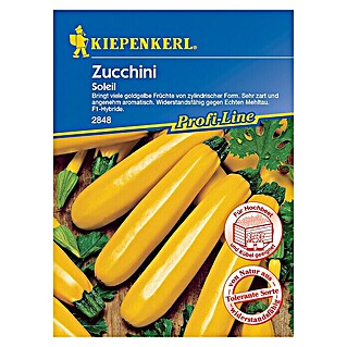 Kiepenkerl Profi-Line Gemüsesamen Zucchini Soleil (Cucurbita pepo, Erntezeit: Juli)