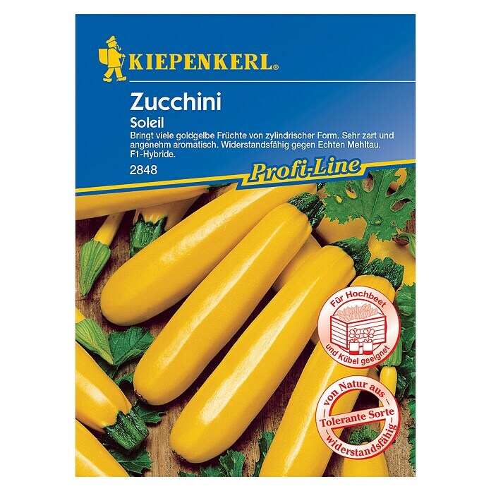 Kiepenkerl Profi-Line Gemüsesamen Zucchini SoleilCucurbita pepo, Erntezeit: Juli - Oktober Front View