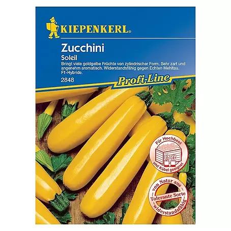 Kiepenkerl Profi-Line Gemüsesamen Zucchini Soleil