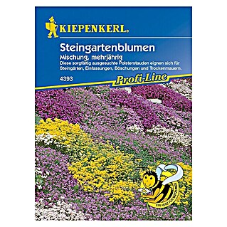 Kiepenkerl Profi-Line Blumensamenmischung Steingartenblumen (Verschiedene Sorten, 2 m²)