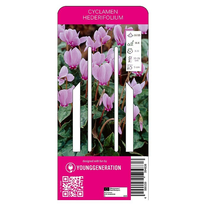 Kiepenkerl Herbstblumenzwiebeln Herbst Alpenveilchen (Cyclamen hederifolium, 1 Stk.) | BAUHAUS