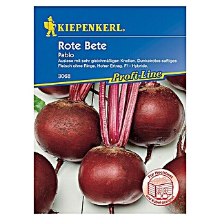 Kiepenkerl Profi-Line Gemüsesamen Rote Bete (Pablo F1, Beta vulgaris var. vulgaris, Erntezeit: August - November)