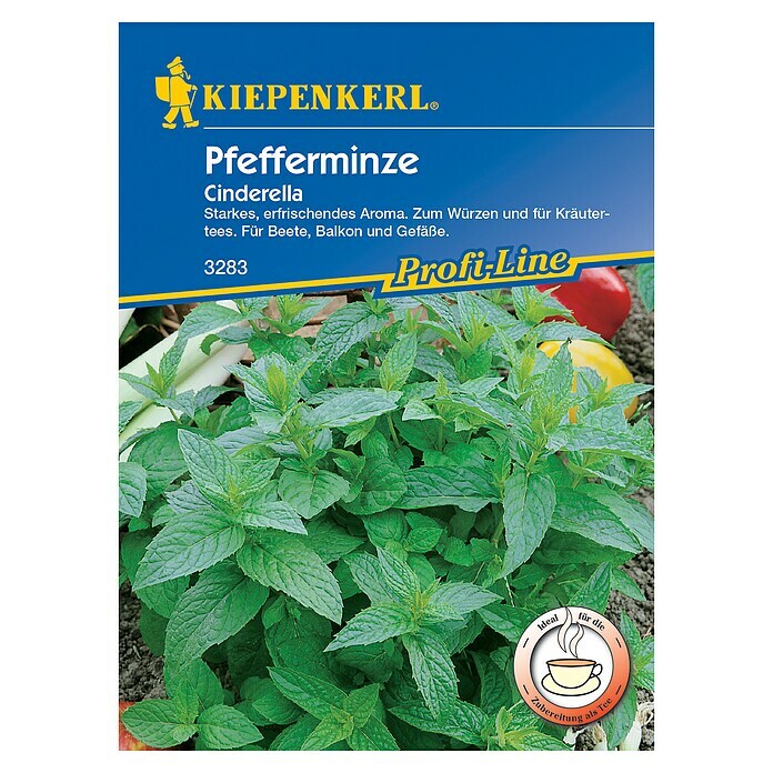 Kiepenkerl Profi-Line Kräutersamen Pfefferminze (Mentha piperita, Erntezeit: Juli) | BAUHAUS