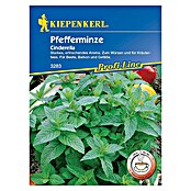 Kiepenkerl Profi-Line Kräutersamen Pfefferminze (Mentha piperita, Erntezeit: Juli) | BAUHAUS