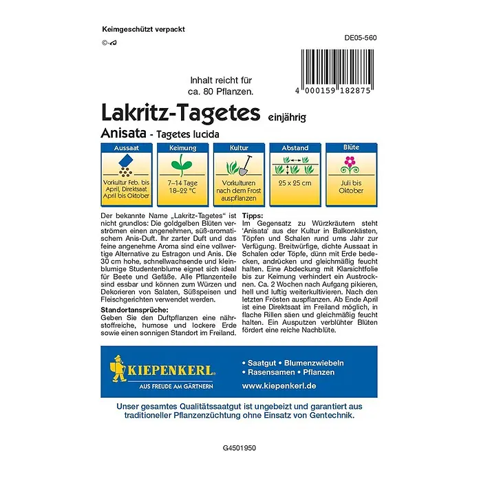 Kiepenkerl Profi-Line Blumensamen Lakritz-Tagetes - Tagetes lucida - Lakritz-Tagetes Anisata-Tagetes lucida Saatguttüte. Informationen zu Aussaat, Keimung, Kultur, Abstand und Blüte der Lakritz-Tagetes.