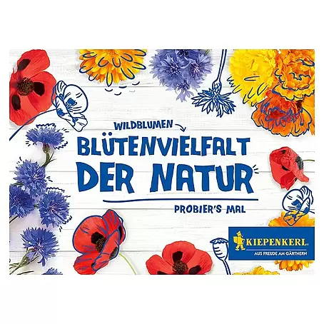 Kiepenkerl  Saatgut Blütenvielfalt der Natur