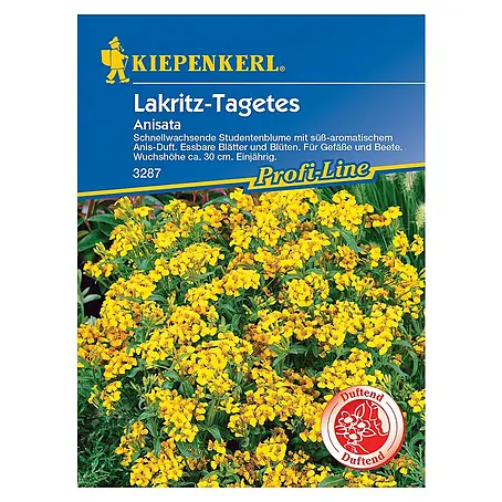 Kiepenkerl Profi-Line Blumensamen Lakritz-Tagetes