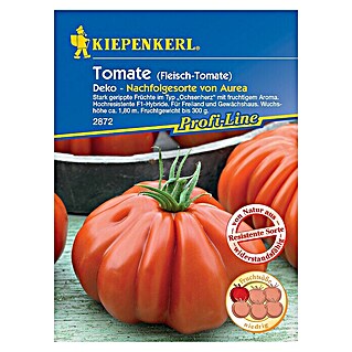 Kiepenkerl Profi-Line Gemüsesamen Tomate Deko (Solanum lycopersicum, Erntezeit: Juli)