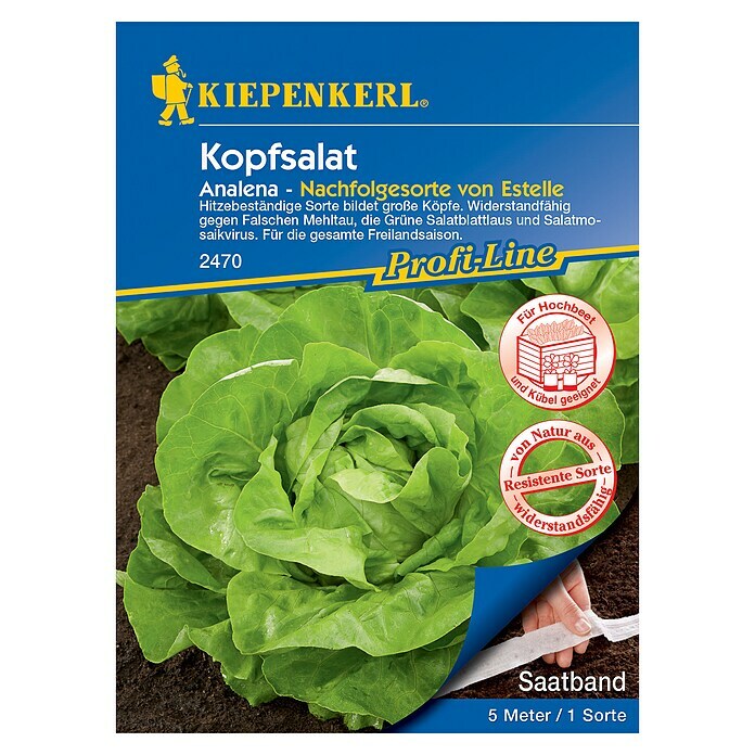 Kiepenkerl Profi-Line Salatsamen Kopfsalat Saatband 