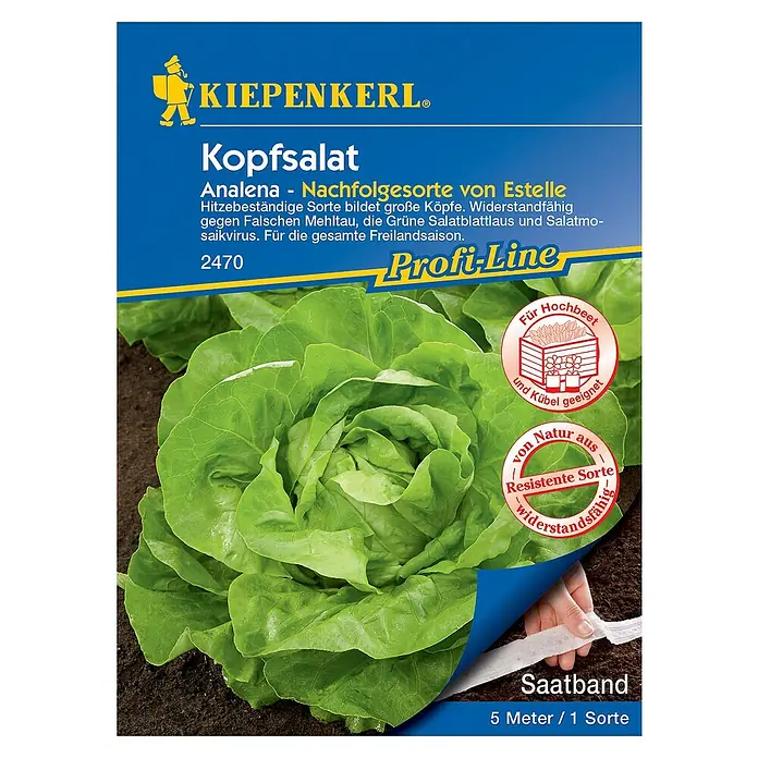 Kiepenkerl Profi-Line Salatsamen Kopfsalat Saatband - Lactuca sativa var. capitata, Erntezeit: Mai - Abbildung einer 'Kiepenkerl Kopfsalat Analena' Samenpackung mit frischem Kopfsalat und Saatband.