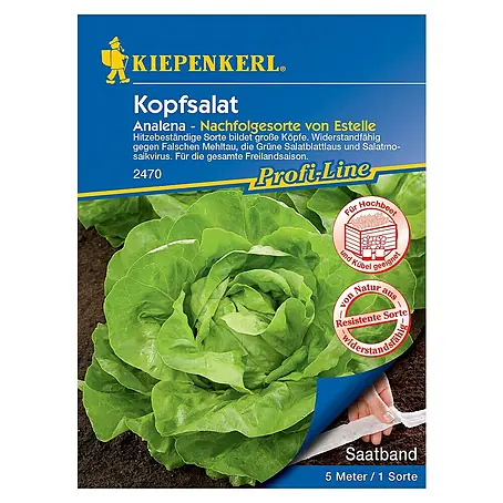 Kiepenkerl Profi-Line Salatsamen Kopfsalat Saatband