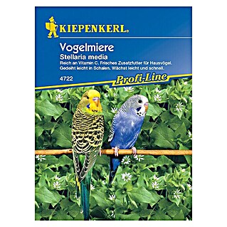 Kiepenkerl Profi-Line Blumensamen Vogelmiere (Stellaria media, 1 m²)