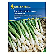 Kiepenkerl Profi-Line Gemüsesamen Winter-Lauchzwiebel (Allium cepa, Erntezeit: April) | BAUHAUS