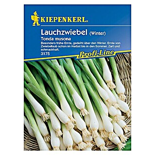 Kiepenkerl Profi-Line Gemüsesamen Winter-Lauchzwiebel (Allium cepa, Erntezeit: April)