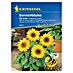 Kiepenkerl Profi-Line Blumensamen Sonnenblume 