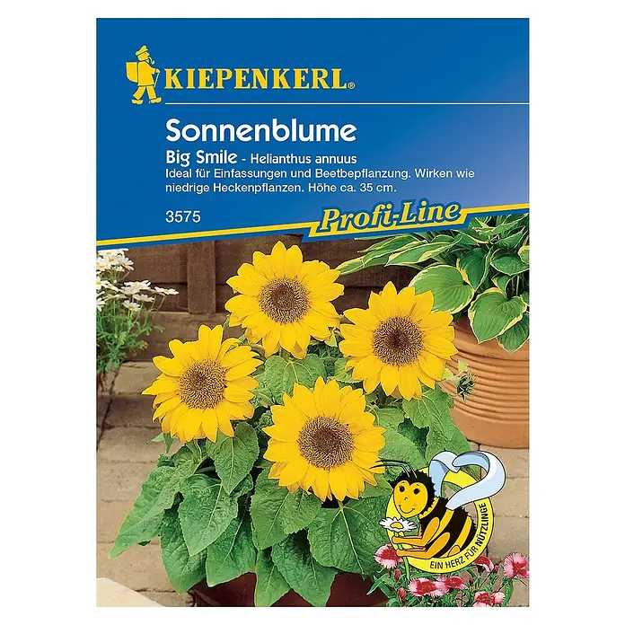 Kiepenkerl Profi-Line Blumensamen SonnenblumeBig Smile, Helianthus annuus, Blütezeit: Mai - Sonnenblumen-Samenpackung "Big Smile" von Kiepenkerl. Ideal für farbenfrohe Einfassungen. Höhe ca. 35 cm.