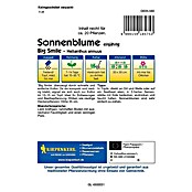 Kiepenkerl Profi-Line Blumensamen Sonnenblume (Big Smile, Helianthus annuus, Blütezeit: Mai) | BAUHAUS