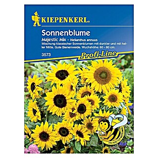 Kiepenkerl Profi-Line Blumensamen Sonnenblume (Majestic Mix, Helianthus annuus, Blütezeit: Juli)